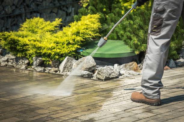 Best Soft Washing  in Geneva, FL